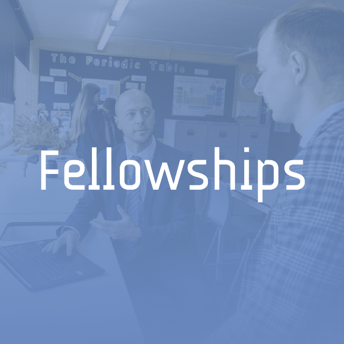 Fellowships